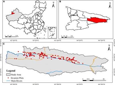 Rapid monitoring of Ambrosia artemisiifolia in semi-arid regions based on ecological convergence and phylogenetic relationships